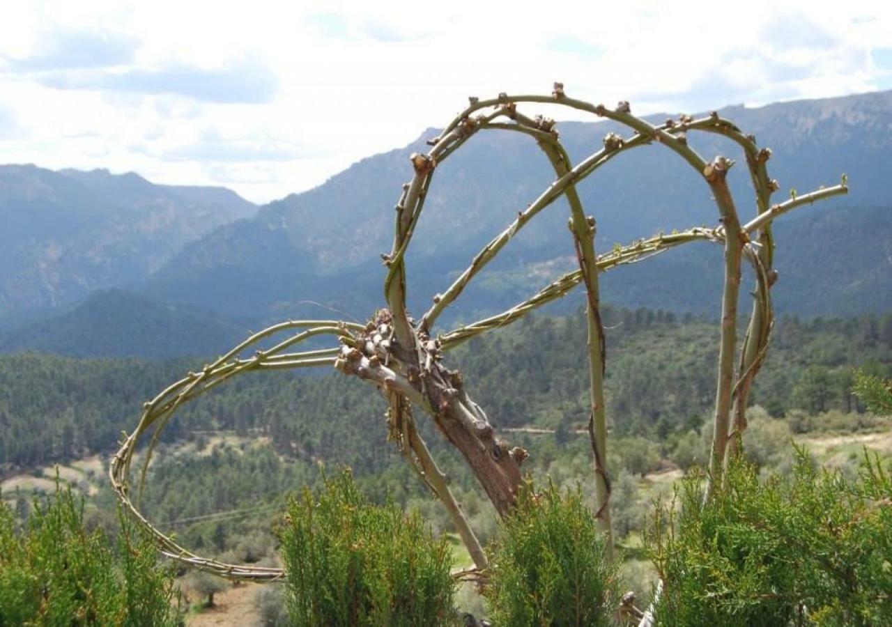 يستي Casas Rurales Mirador Del Mundo المظهر الخارجي الصورة