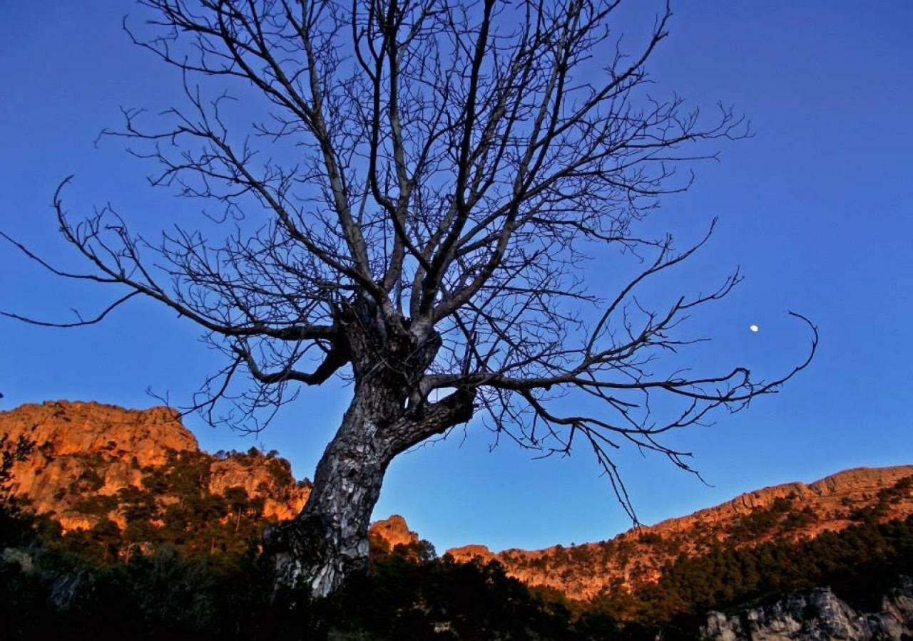 يستي Casas Rurales Mirador Del Mundo المظهر الخارجي الصورة